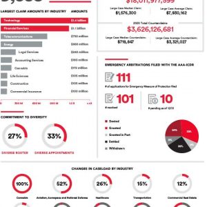 2020 B2B Infographic | American Arbitration Association